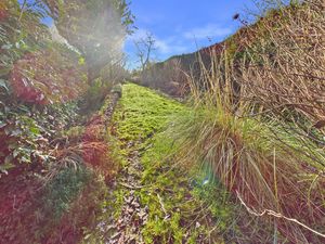 GARDENS- click for photo gallery